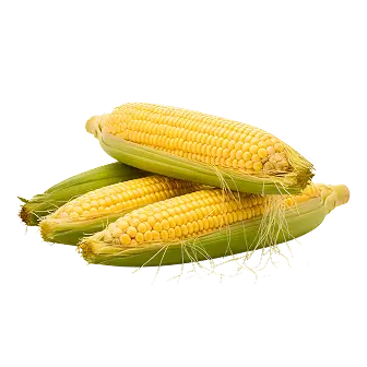 Corn