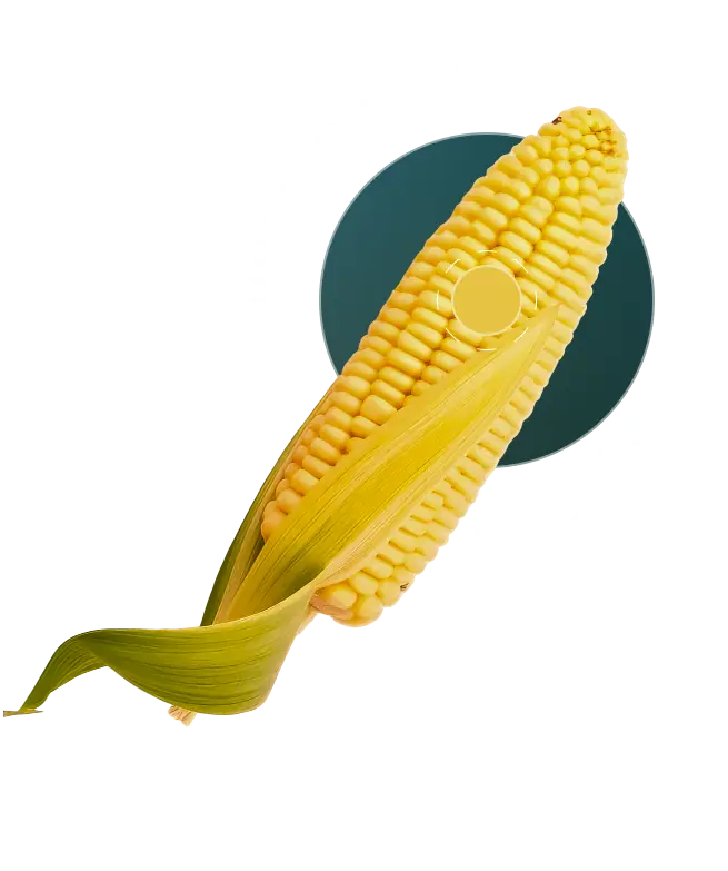 Corn